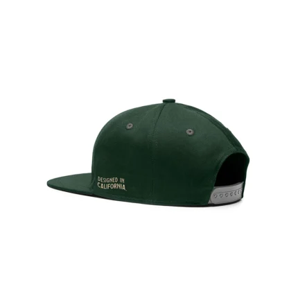 The 10/10 Boys green snapback hat